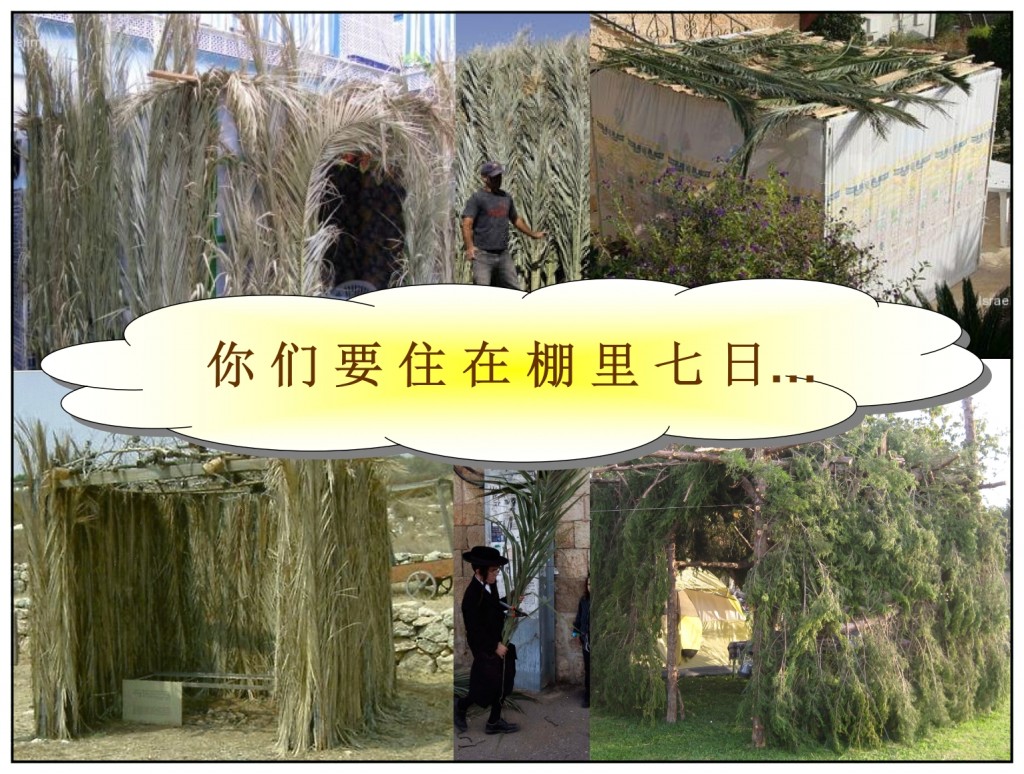 Small booths are used to live in at the feast of Tabernacles Chinese language Bible study 