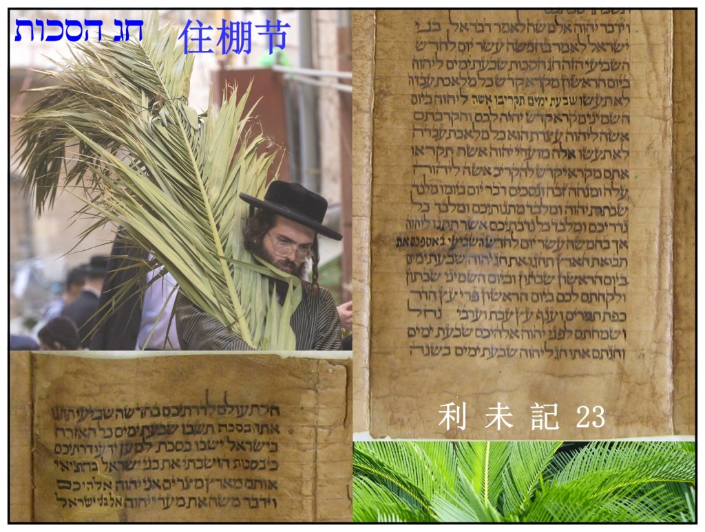 Feast of Sukkot in Israel Torah Scroll showing Feast of Sukkot Chinese language Bible Study