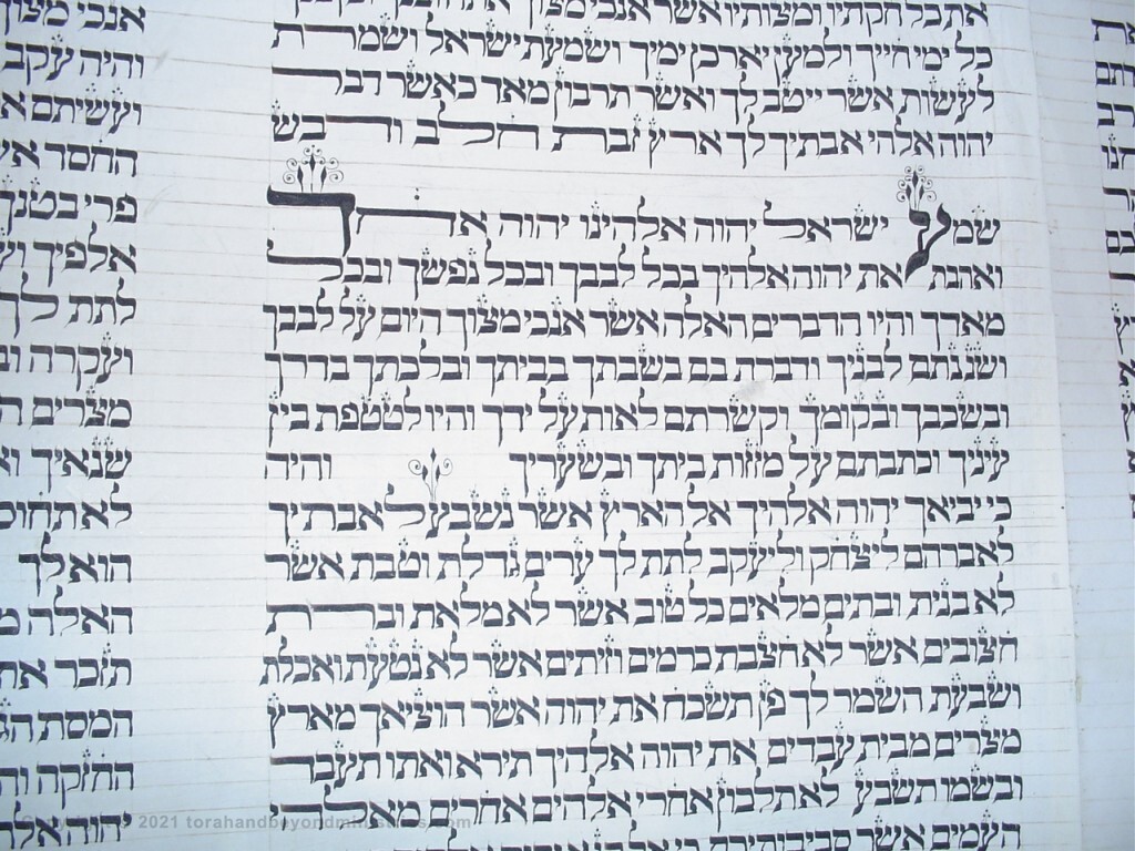 Deuteronomy 6 from a Torah Scroll written 250 years ago in Lithuania This section shows God's commandment for the parents to teach the children God's will.
