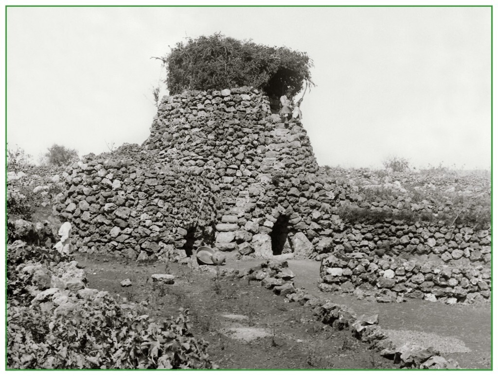 The following photograph of a sukka was taken near Bethlehem around 1890 in a grape vineyard.