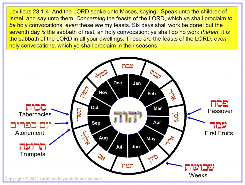 Chronological chart of the times of the Feasts of Leviticus 23. The chart is in Hebrew and English.