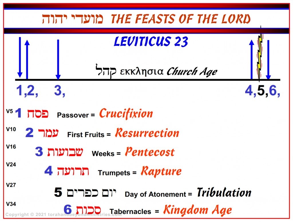 The Feasts of Leviticus 23 are shown here in their chronological order.