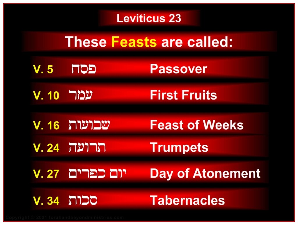 Hebrew English names for Feasts of the Lord - Feasts of the Lord Leviticus 23