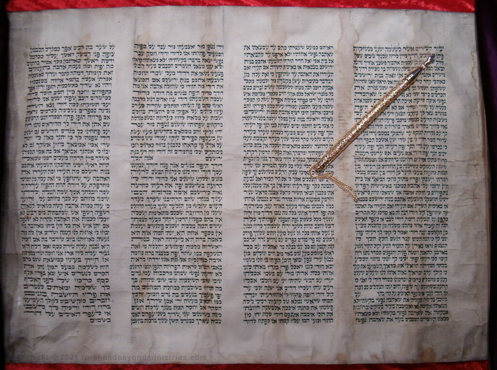 Scroll of the Song of Songs damaged in the Holocaust