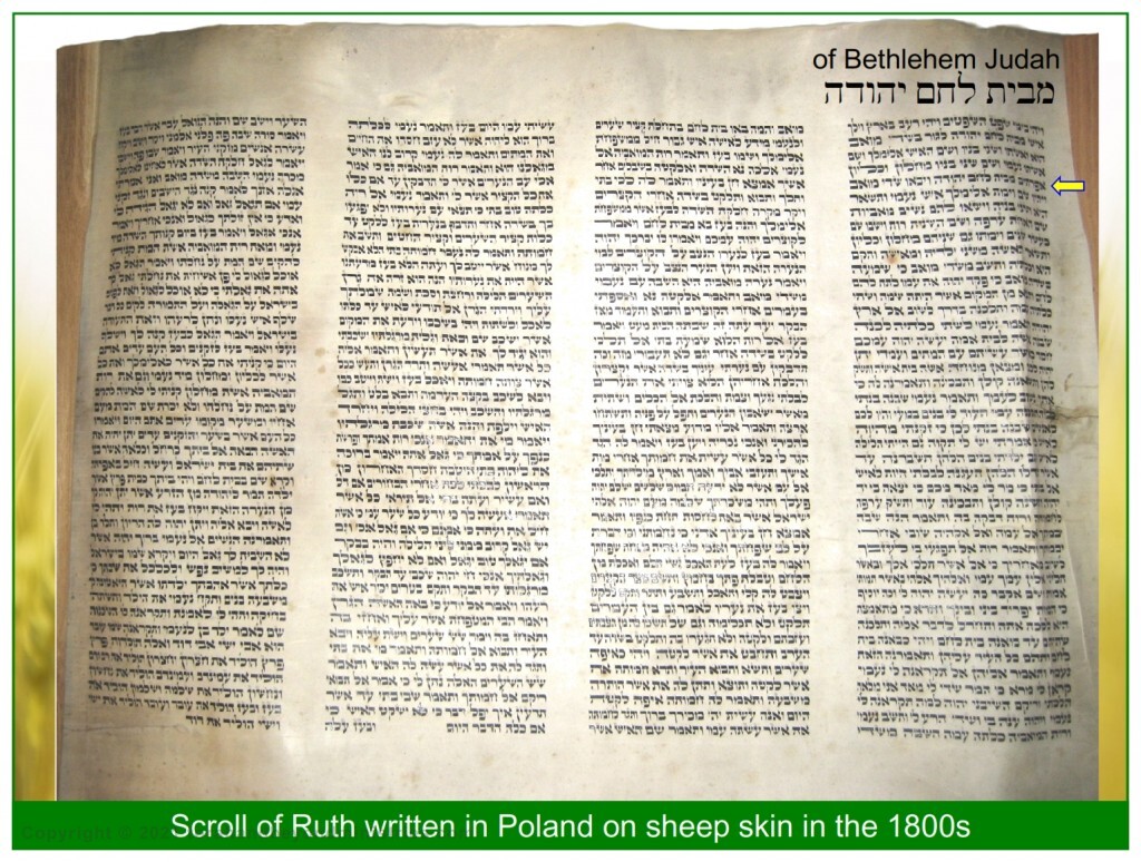 The Hebrew Scroll of Ruth written in Poland many years ago. It is written on sheep skin using iron gall ink. 