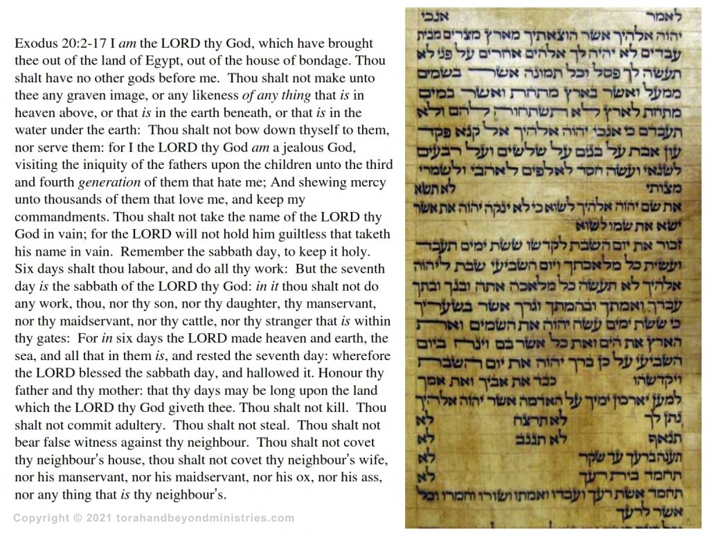 Photograph of the 10 Commandments Exodus 20 from a Torah Scroll written on deer skin in Iraq