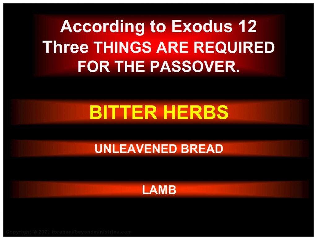 Three required foods at Passover: Lamb, Matzo, Bitter herbs