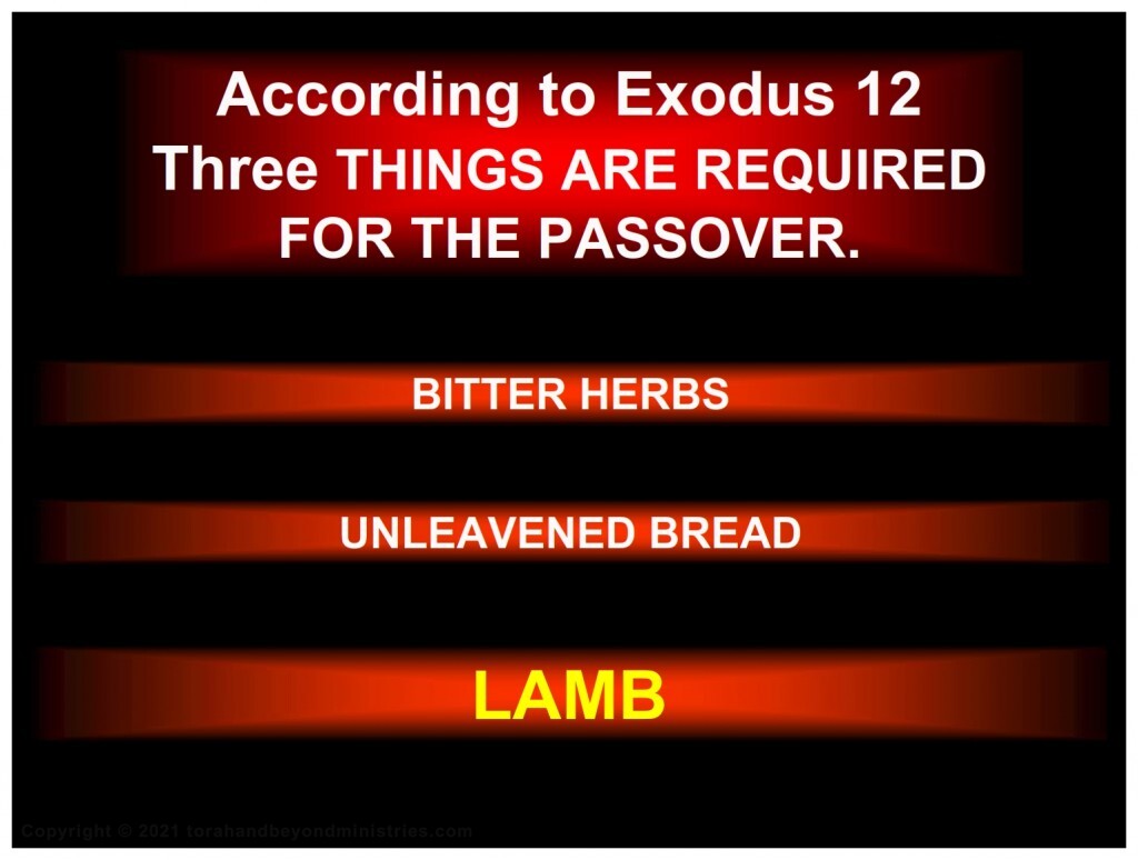 Roast lamb is required for Passover. There are no options!