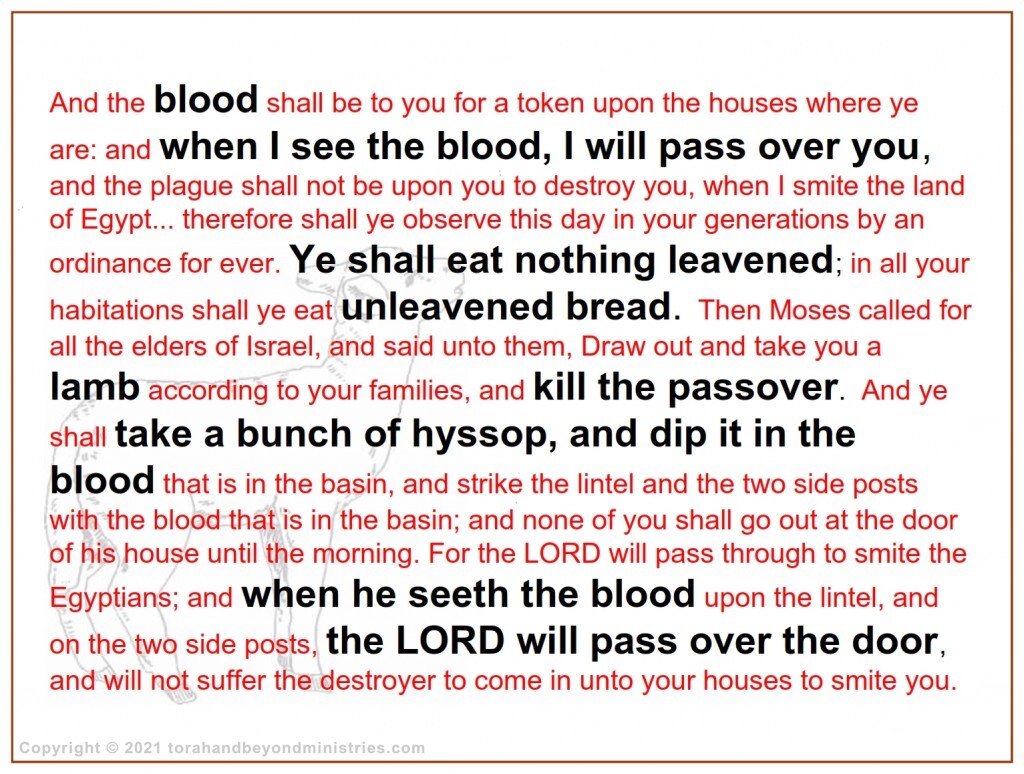 At the first Passover the words lamb and blood are mentioned 31 times in 24 verses. This must be important to keep a Passover.