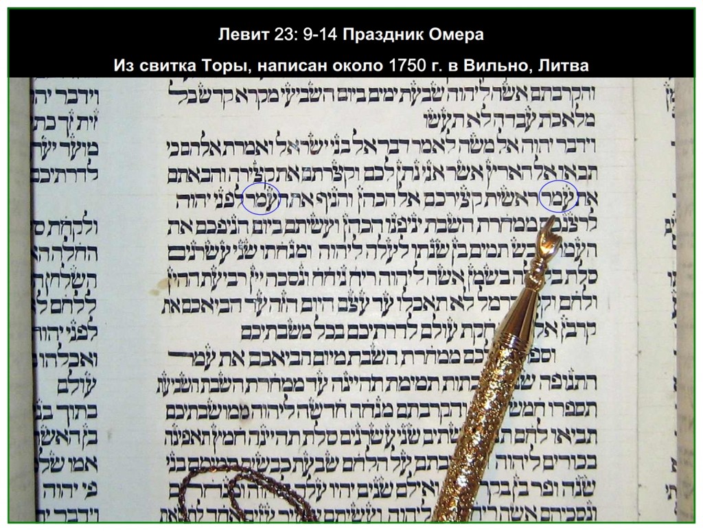 Torah Scroll written in Vilnius, Lithuania around 1750 showing the word omer as the sheaf of Firstfruits