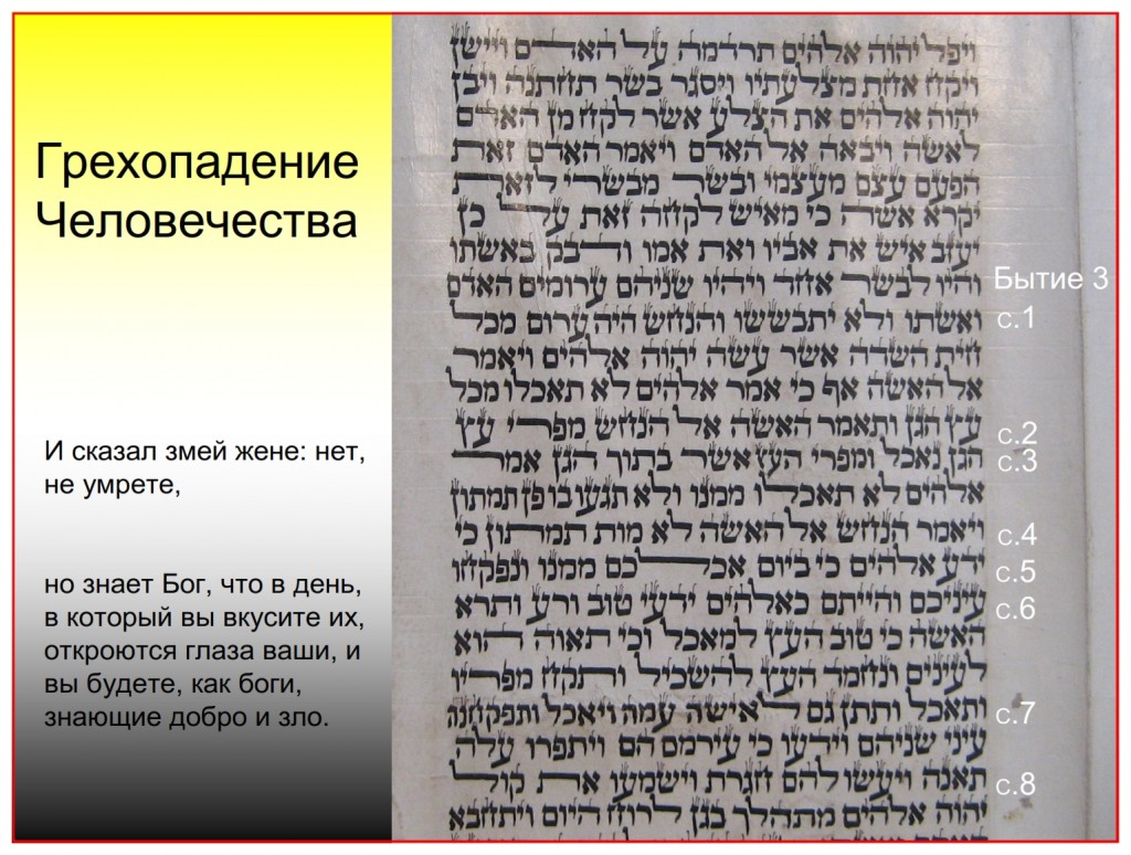 The cost of Adam and Eve's fall: Torah Scroll Vilnius, Lithuania 1750+-20 Genesis 3