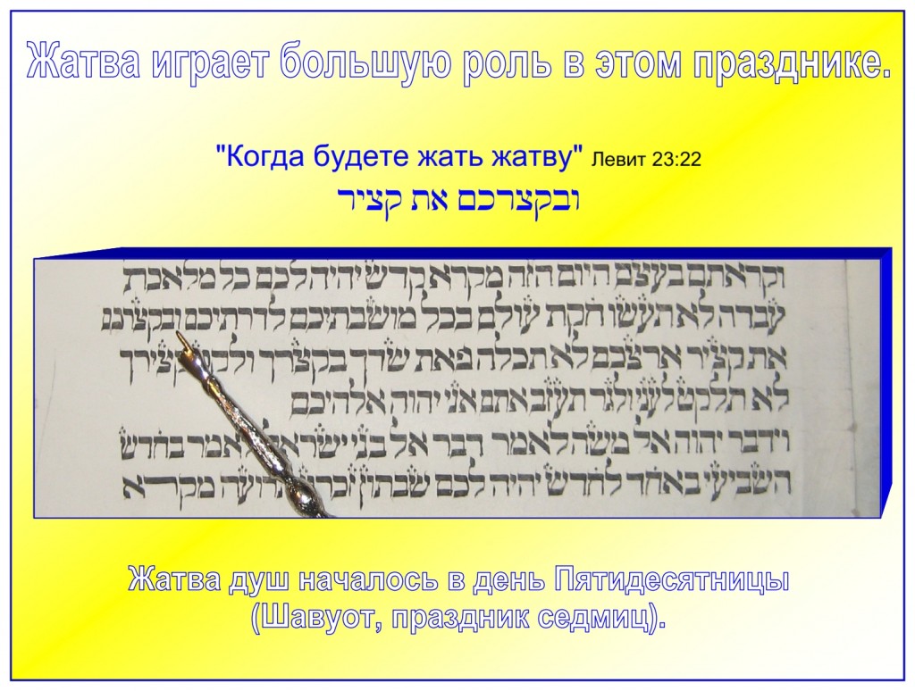 Russian language lesson: The harvest plays a big part in the feast of Shavuot, Pentecost. The harvest of souls started on the day of Pentecost.