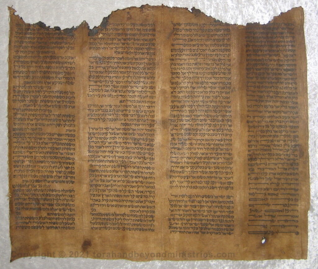 Deer skin Torah sheet Numbers 23:17 - 26:38.Balaam hired by Balak to curse Israel