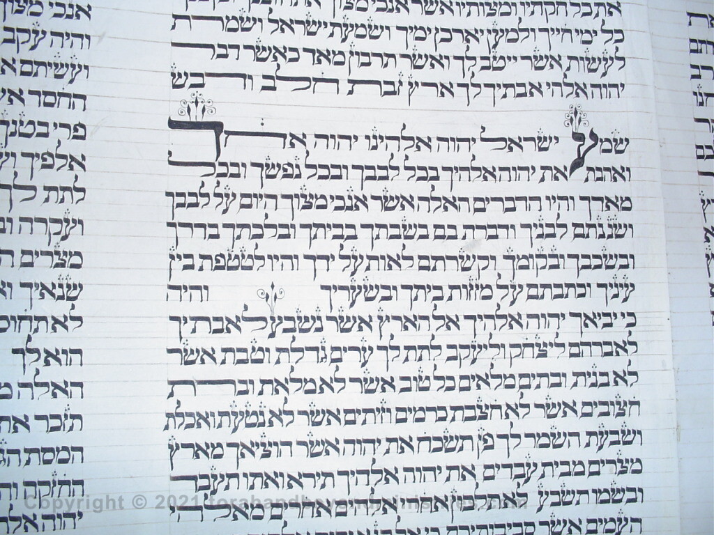 The Sh'ma from Torah Scroll written 1750+-20 years in Vilnius, Lithuania