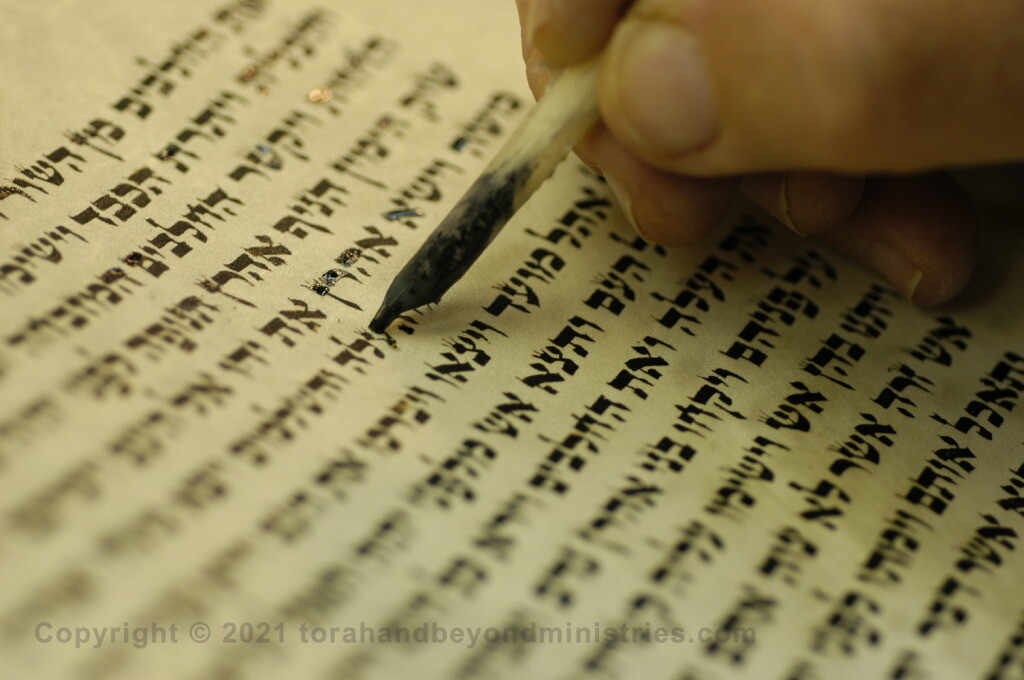 Sofer re-lettering a Torah Scroll