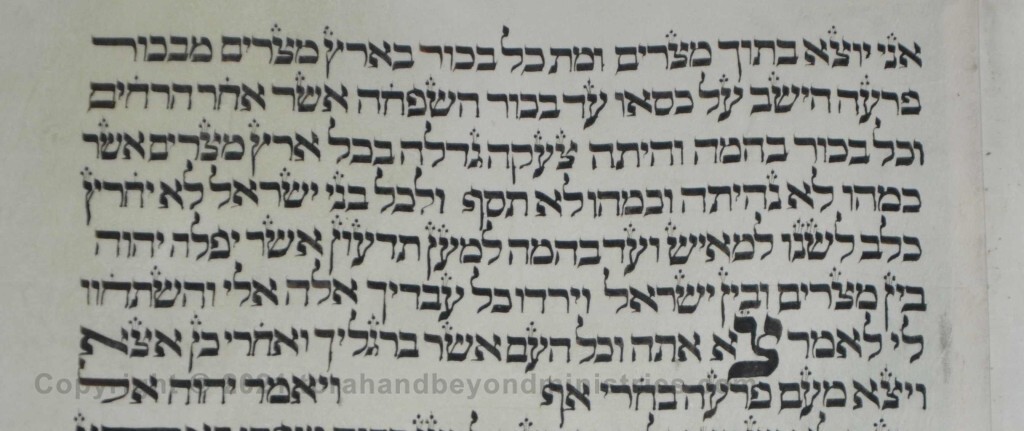 Sheet 15 Exodus 11:8 go out - Torah from Lithuania written in the 16th century