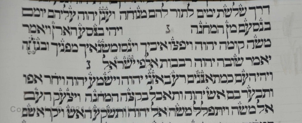 Sheet 36 Numbers 10:33 Two inverted Nuns - Torah from Lithuania written in the 16th century