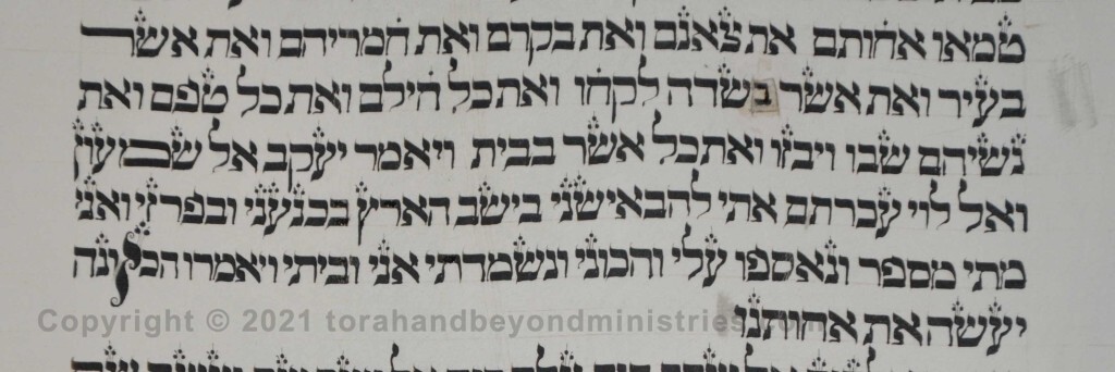 Sheet 8 Genesis 34:31 as with a harlot - Torah from Lithuania written in the 16th century