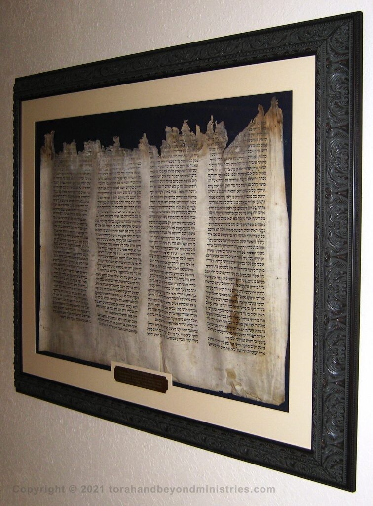Complete Scroll of Lamentations damaged in the Holocaust