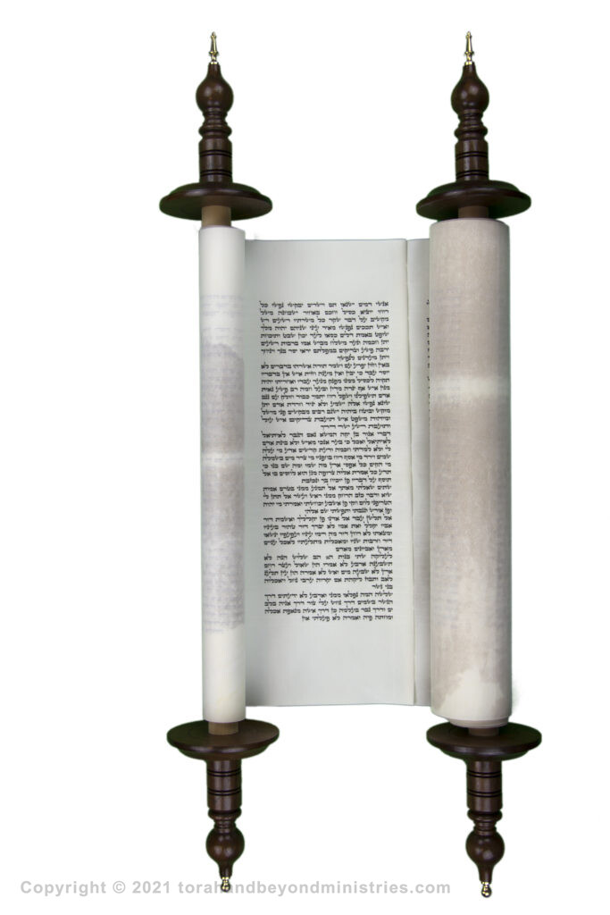 photograph of an authentic Hebrew Scroll of Proverbs