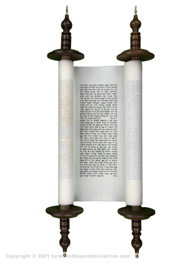 photograph of an authentic Hebrew Scroll of Job