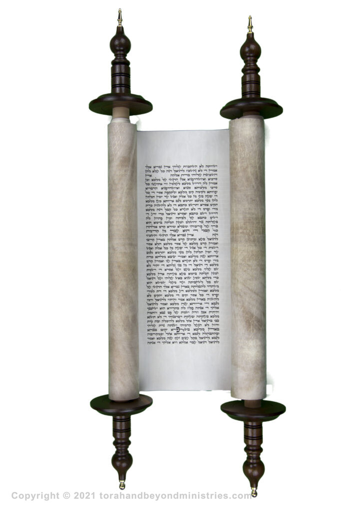 photograph of an authentic Hebrew Scroll of Daniel