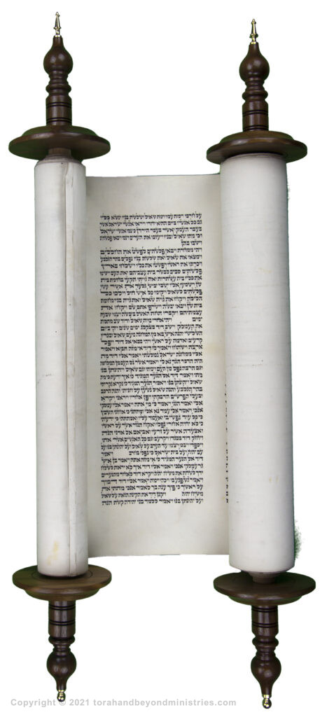photograph of an authentic Hebrew Scroll of Samuel