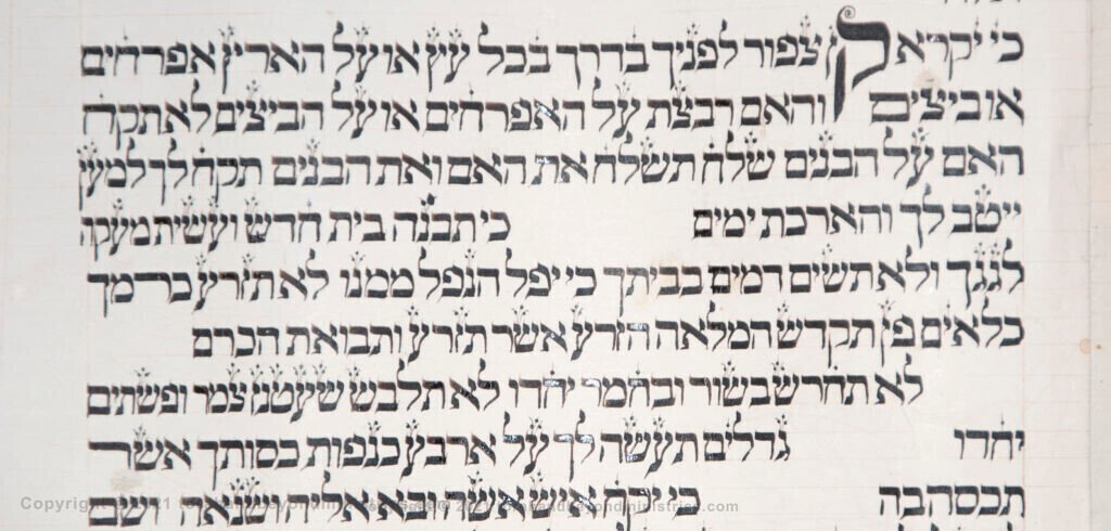 Vilna Torah Scribal oddities Deuteronomy 22 verse 6