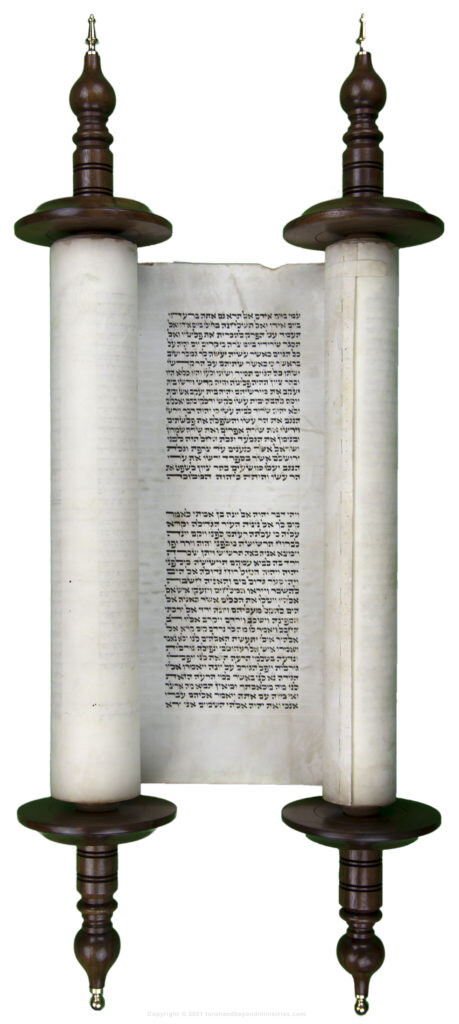 Hebrew Scroll of the 12 Prophets opened to the book of Jonah