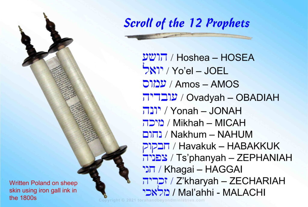 Scroll of the 12 Prophets Hebrew and English