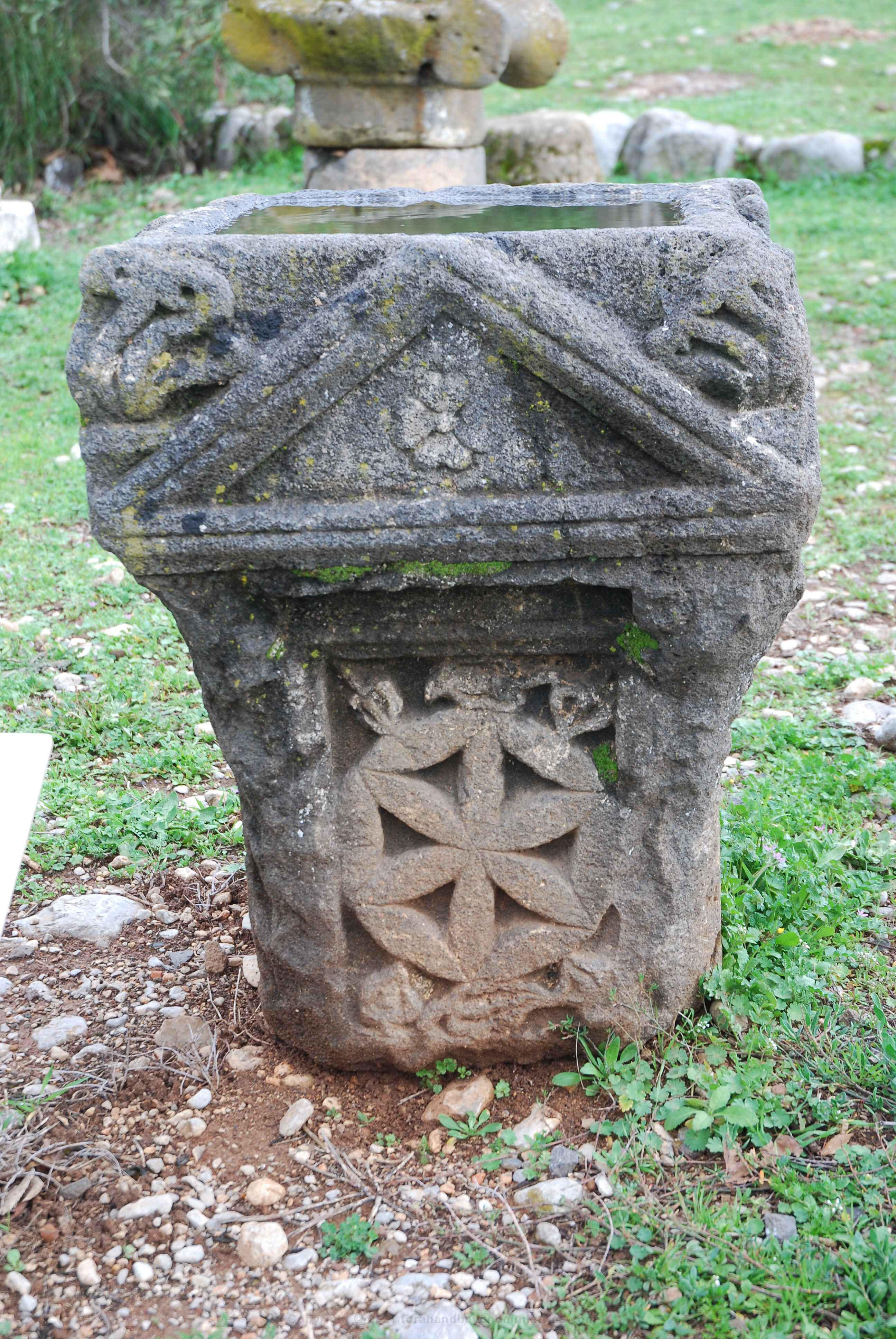 Stone altar in Israel showing the crocus flower