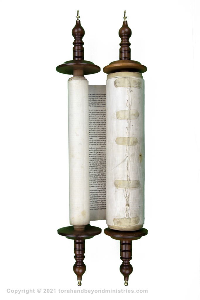 1 torah img 1089 small