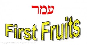 First fruits The Feast of First Fruits, The Omer, Leviticus 23