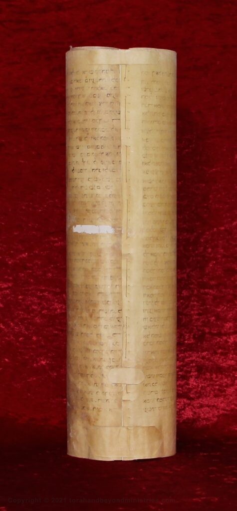 Museum Quality Frames Hebrew scroll of Esther showing the backside of the Scroll which clearly shows it is parchment. The Scroll is 50 cm tall.