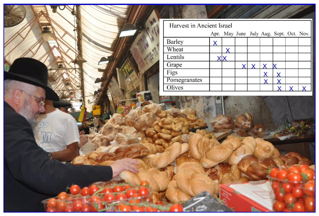 Chinese Language Bible Lesson Feast of Weeks Harvest seasons in Israel