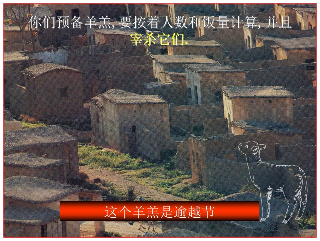 Chinese Language Bible Lesson every home had to have lamb for Passover