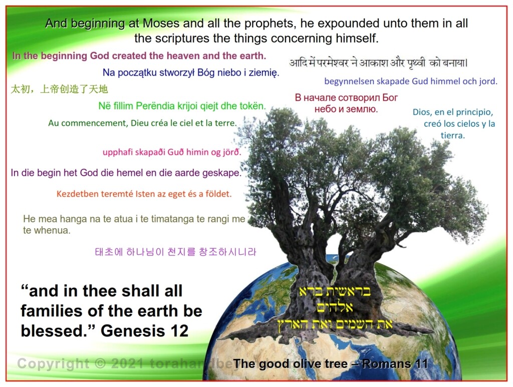 Passover Exodus 12 Lamb Chinese Language Bible study