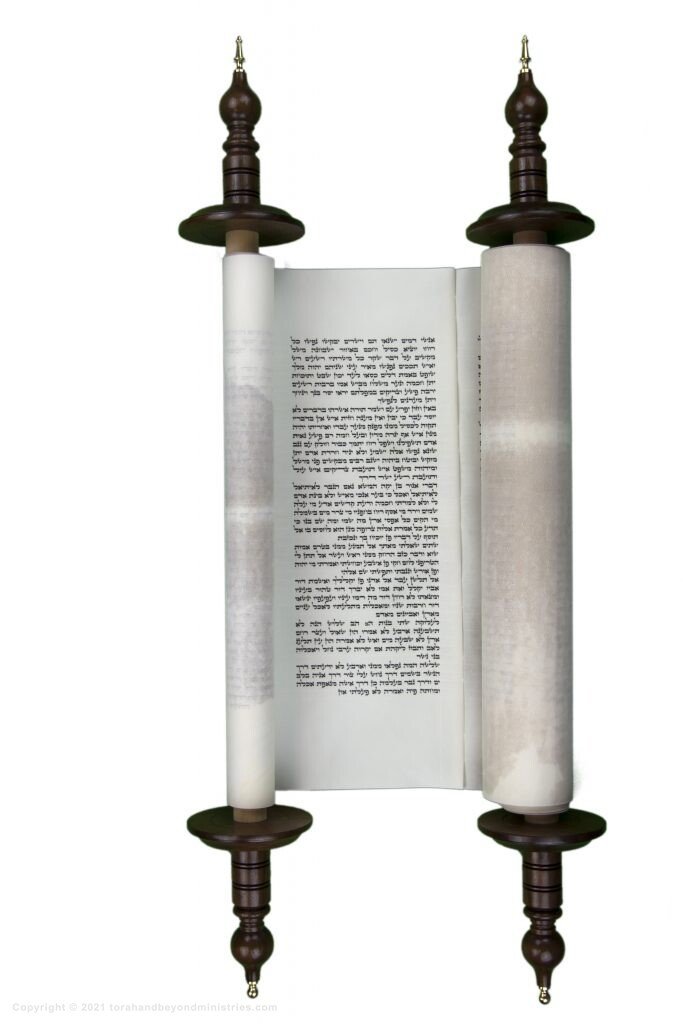 Tanakh 11 Proverbs 1128 2