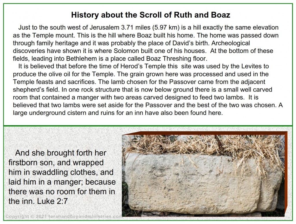 First fruits A carved stone manger used to feed sheep was found near Bethlehem at Boaz threshing floor.