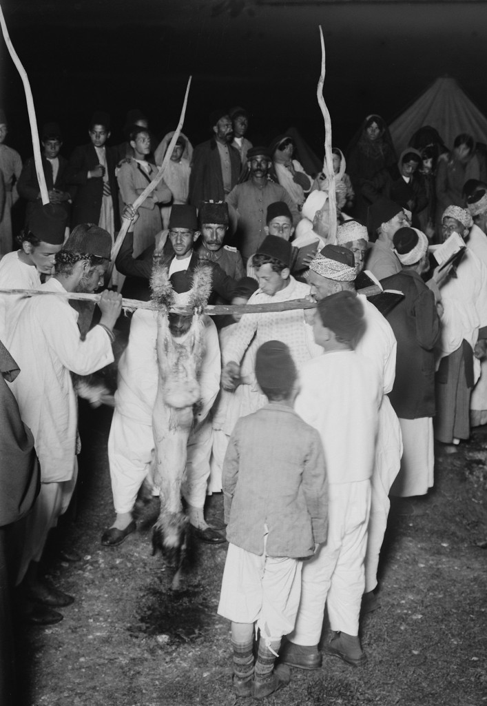 Samaritan Passover, preparing carcass draining blood before roasting