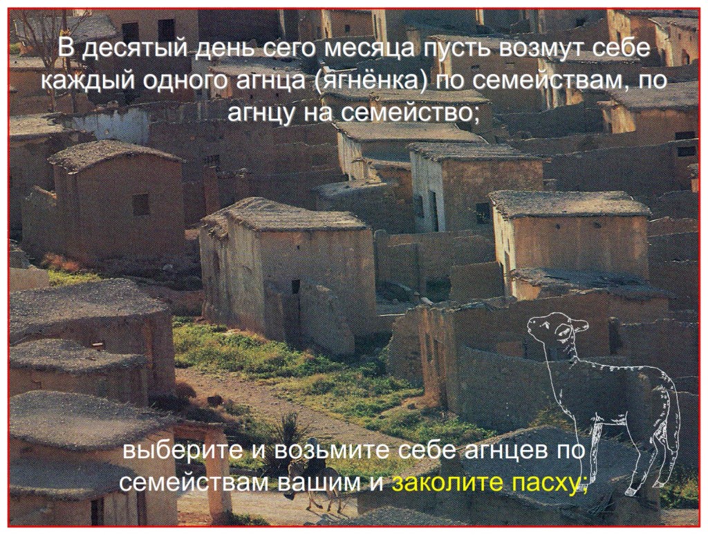 Draw out and take you a lamb according to your families, and KILL THE PASSOVER.