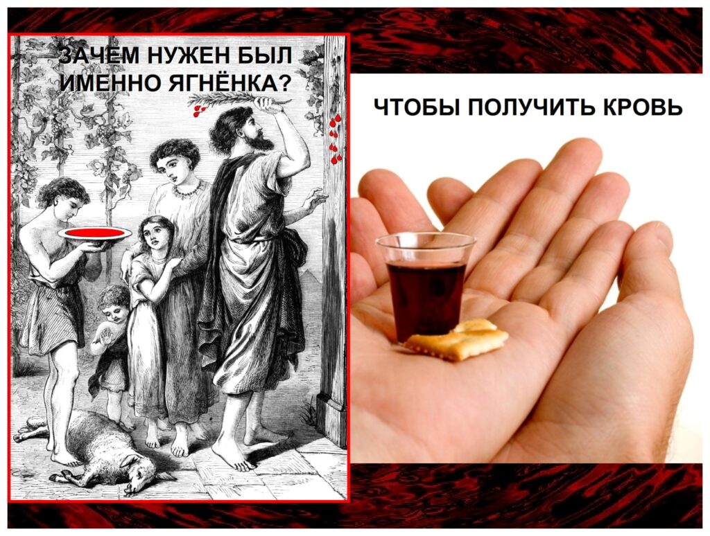 WHAT WAS THE PURPOSE OF HAVING A LAMB? To get the blood.