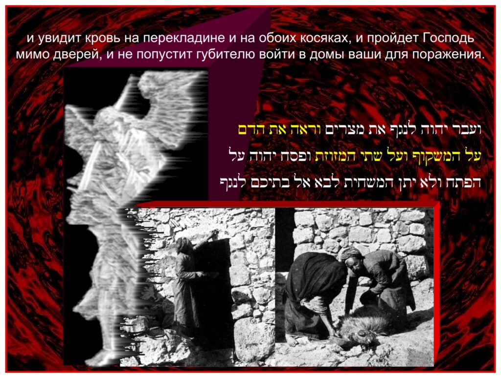 and when he seeth the blood upon the lintel, and on the two side posts, the LORD will pass over the door, 