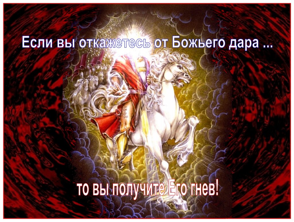 First fruits The words from John 4:35, “white unto harvest” are hard to imagine if a person has no idea of what a field of barley looks