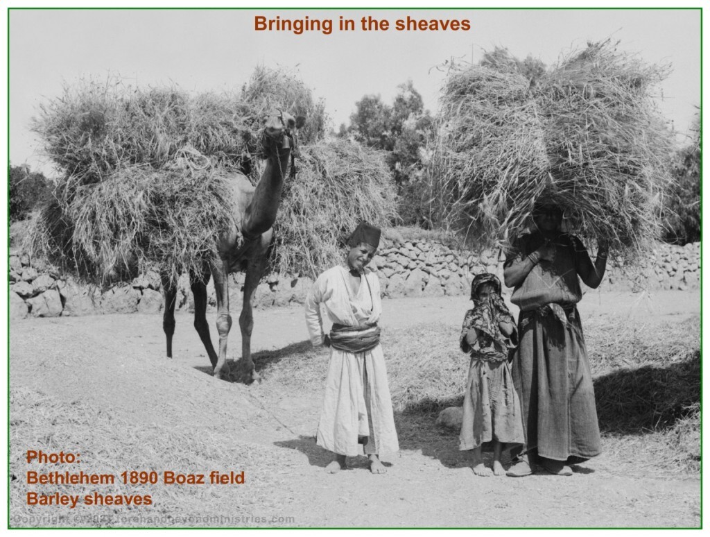 First fruits Christian song, Bringing in the sheaves - most people have no idea what a sheave is