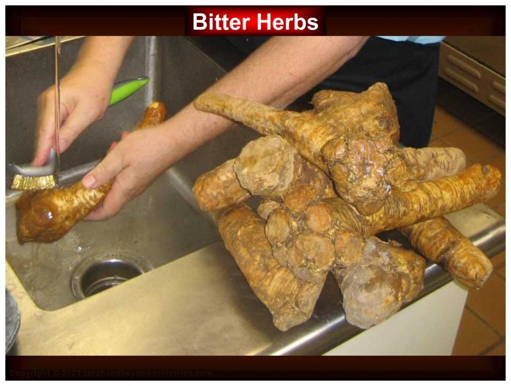 Passover “What is the Passover?” At the first Communion services, bitter herbs were eaten.