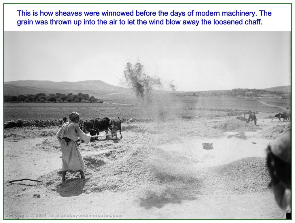 First fruits Jesus was winnowed as He was separated from the "shell" of His body.