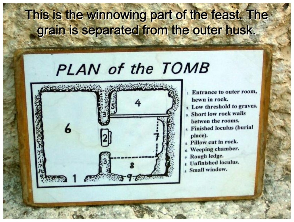 First fruits The body of Jesus which had been separated from Jesus Spirit, His Life, is now wrapped and laid in a stone tomb to await Jesus return to take back His body.