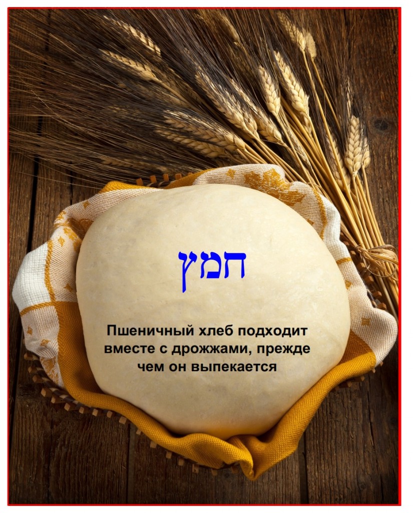 Wheat bread rising with yeast before it is baked, example of chametz