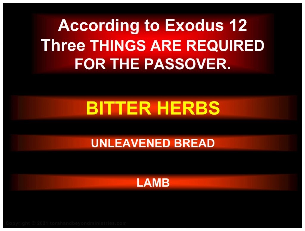Bitter Herbs Three required foods at Passover: Lamb, Matzo, Bitter herbs